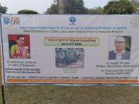 Sisal Plantation in CSIR Labs under Natural Fiber Composite Mission