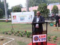 Sisal Plantation in CSIR Labs under Natural Fiber Composite Mission