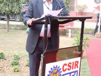 Sisal Plantation in CSIR Labs under Natural Fiber Composite Mission