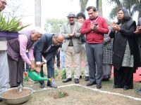 Sisal Plantation in CSIR Labs under Natural Fiber Composite Mission