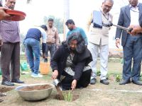 Sisal Plantation in CSIR Labs under Natural Fiber Composite Mission
