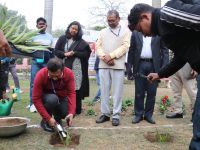 Sisal Plantation in CSIR Labs under Natural Fiber Composite Mission