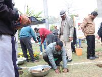 Sisal Plantation in CSIR Labs under Natural Fiber Composite Mission