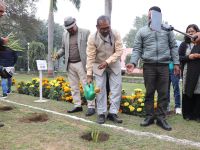 Sisal Plantation in CSIR Labs under Natural Fiber Composite Mission