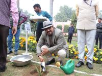 Sisal Plantation in CSIR Labs under Natural Fiber Composite Mission