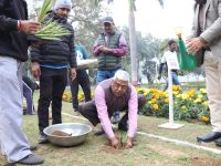 Sisal Plantation in CSIR Labs under Natural Fiber Composite Mission