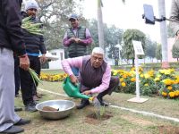 Sisal Plantation in CSIR Labs under Natural Fiber Composite Mission