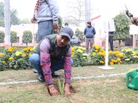 Sisal Plantation in CSIR Labs under Natural Fiber Composite Mission