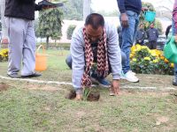 Sisal Plantation in CSIR Labs under Natural Fiber Composite Mission