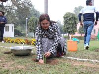 Sisal Plantation in CSIR Labs under Natural Fiber Composite Mission