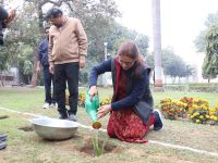 Sisal Plantation in CSIR Labs under Natural Fiber Composite Mission