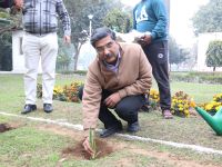 Sisal Plantation in CSIR Labs under Natural Fiber Composite Mission
