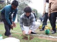 Sisal Plantation in CSIR Labs under Natural Fiber Composite Mission