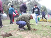 Sisal Plantation in CSIR Labs under Natural Fiber Composite Mission