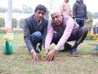 Sisal Plantation in CSIR Labs under Natural Fiber Composite Mission
