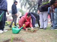 Sisal Plantation in CSIR Labs under Natural Fiber Composite Mission