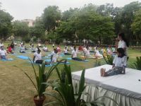 CSIR-CRRI has been awarded the 'Yoga Sangam Patra' by the Ministry of Ayush for organizing the Yoga Sangam event on June 21, 2026.