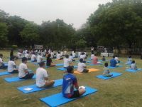 CSIR-CRRI has been awarded the 'Yoga Sangam Patra' by the Ministry of Ayush for organizing the Yoga Sangam event on June 21, 2026.