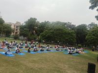 CSIR-CRRI has been awarded the 'Yoga Sangam Patra' by the Ministry of Ayush for organizing the Yoga Sangam event on June 21, 2026.