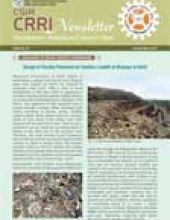 CSIR - CRRI Newsletter 2013 ISSUE No. 38